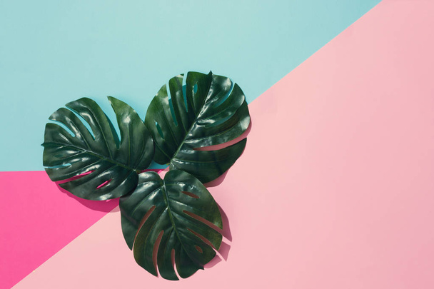 Creatieve lay-out gemaakt van groene tropische laat op pastel roze en blauwe achtergrond. Minimale zomer exotische concept  - Foto, afbeelding