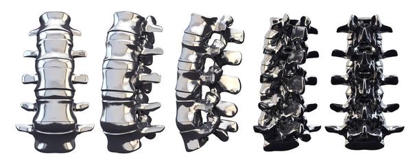 3drendering illustration of vertebra
 - Фото, изображение