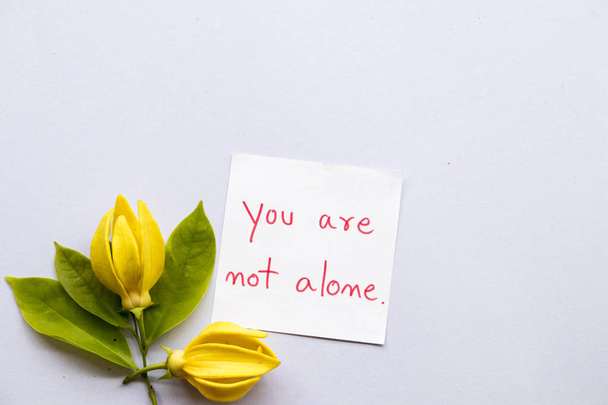 vous n'êtes pas seul message carte écriture avec ylang ylang fleur jaune sur fond blanc
 - Photo, image
