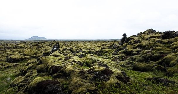 Moss covered volcanic landscape in Iceland - Foto, imagen