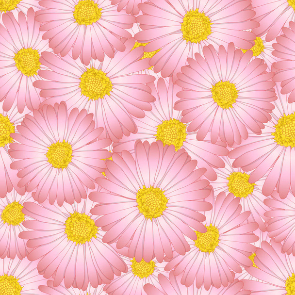 Aster różowy stokrotka kwiat bezszwowe tło. Ilustracja wektorowa. - Wektor, obraz