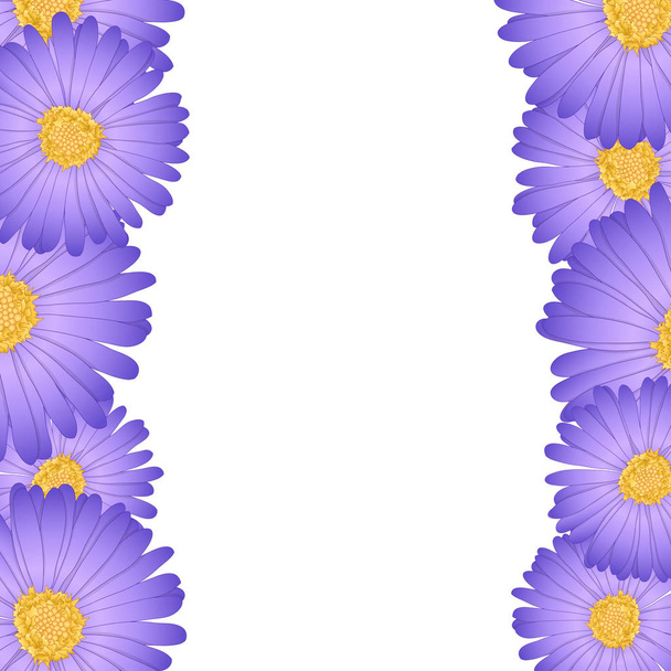 Purple Aster, Daisy Flower Border. Vector Illustration. - Vector, Image