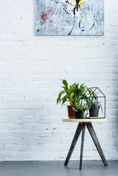 plantas envasadas na frente da parede de tijolo com pintura
 - Foto, Imagem
