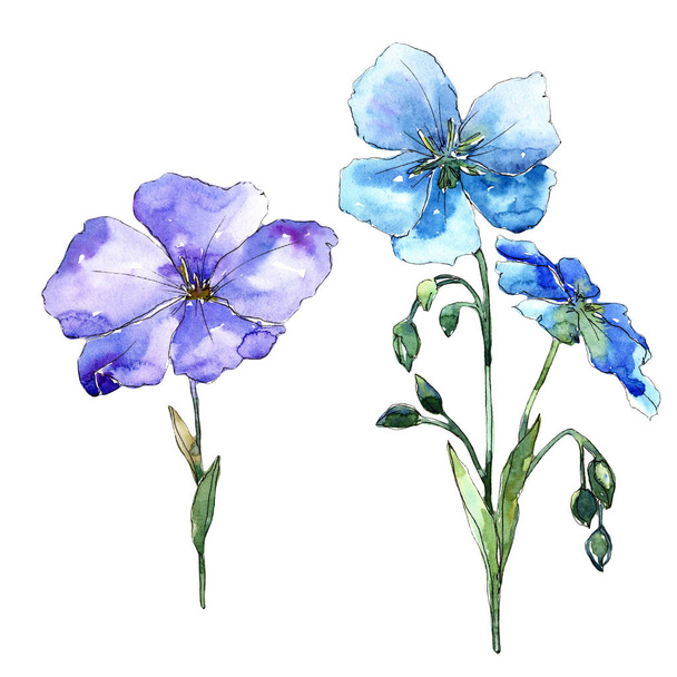 青い亜麻の花。花植物の花。孤立した図の要素。背景、テクスチャ、ラッパー パターン、フレームや境界線の aquarelle ワイルドフラワー. - 写真・画像