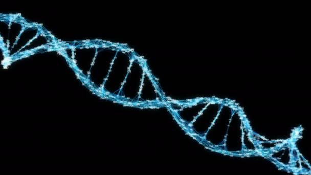 Digitos aleatorios de molécula de ADN de plexo digital Loop Alpha Channel
 - Metraje, vídeo