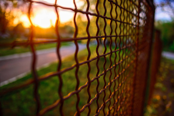 паркан з металевою сіткою в перспективі, фон
 - Фото, зображення