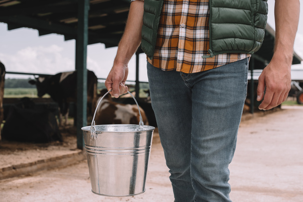cropped shot of male farmer holding bucket at cowshed  - Фото, зображення