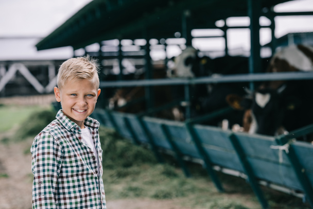 happy boy in checkered shirt smiling at camera while standing at ranch with cows   - Foto, immagini