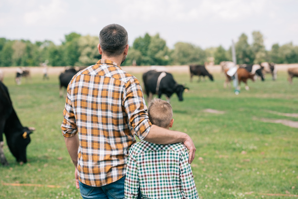 Widok ojca i syna razem stoi i ogląda krów pasących się na farmie z tyłu - Zdjęcie, obraz