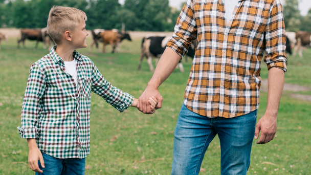 cropped shot of father and smiling son holding hands at farm - Фото, изображение
