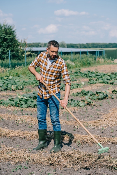 farmer in checkered shirt and rubber boots holding rake and working in field - Foto, Imagem