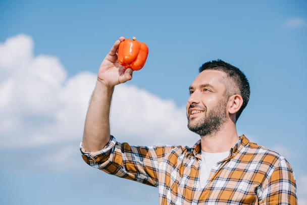 handsome smiling farmer holding ripe bell pepper against sky - Photo, Image