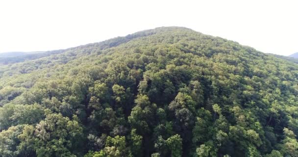 Hill i zieleń lasu, widok z powietrza. - Materiał filmowy, wideo