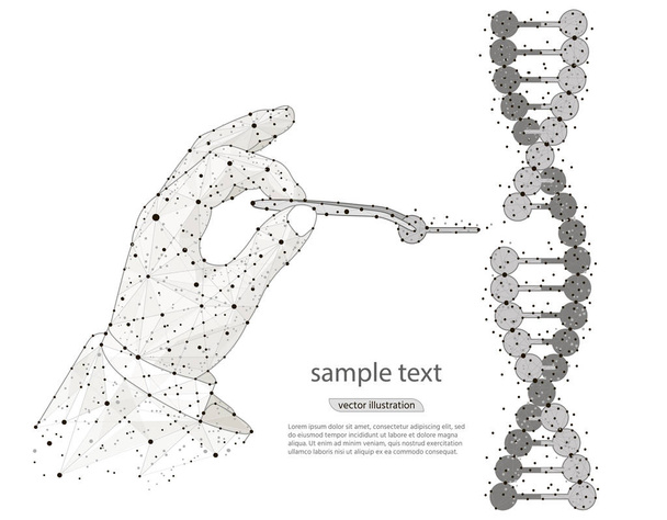 抽象的なデザイン マニュアルの遺伝子工学。素手、ピンセットで Dna の二重らせんの操作。白い背景の上の低ポリ ワイヤ フレームから分離されました。ベクター イメージが抽象的な多角形のマッシュ - ベクター画像