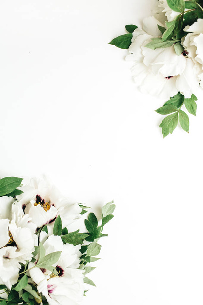 Kompozycja kwiatowa piwonia białe kwiaty na białym tle. Widok płaski świeckich, top makieta. - Zdjęcie, obraz