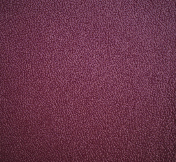 Ritz leather texture for background - 写真・画像