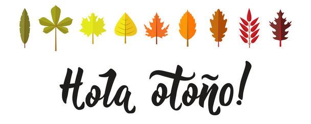 Hola otono Lettering. Spanish translation: Hello autumn. calligraphy vector illustration. element for flyers, banner and posters. Modern calligraphy. - Vector, Image