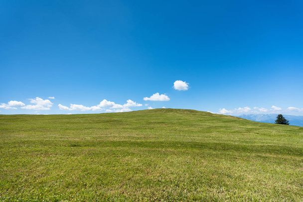 fond de ciel bleu avec des nuages blancs et des champs verts et un seul arbre
 - Photo, image