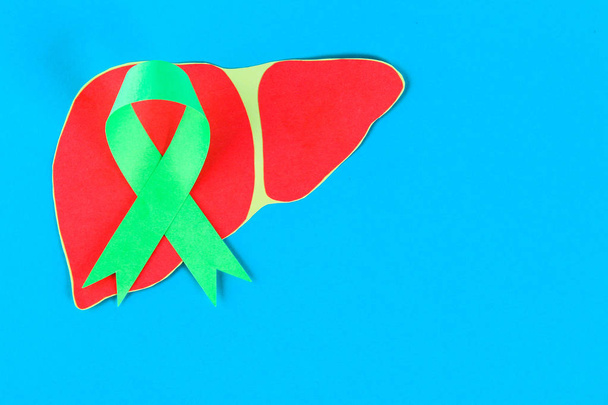 Παγκόσμια ημέρα ηπατίτιδας. 28 Ιουνίου. Νεφρίτη πράσινο κορδέλα και το ήπαρ σε ένα μπλε τραπέζι. Χώρο αντίγραφο - Φωτογραφία, εικόνα