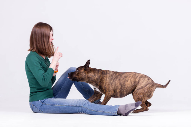 Young beautiful girl in pullover and jeans trains the dog - Photo, Image