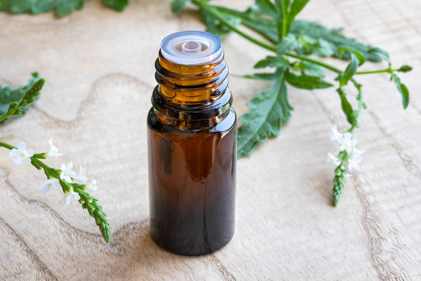 A bottle of common vervain essential oil with fresh blooming verbena officinalis - Photo, Image