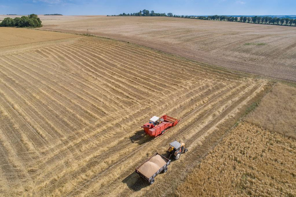 Luchtfoto drone weergave van rooier combineren bezig met veld. Zomer oogst. Boerderij werken - Foto, afbeelding