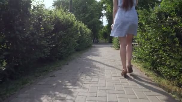 Beautiful woman walking in the park and talking on the phone. - Filmmaterial, Video