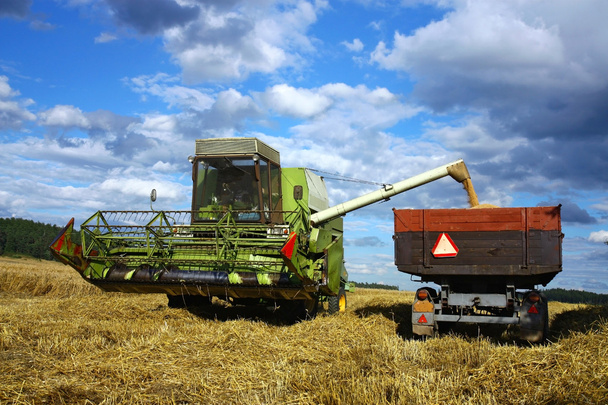 hasat makinesi tohumları yükleme - Foto, afbeelding