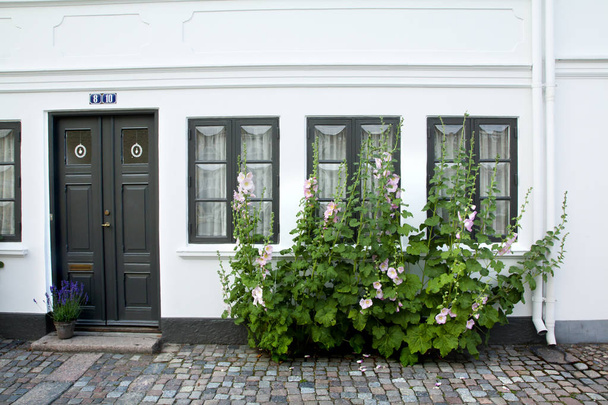 Παλιά πόλη του Οντένσε, Δανία. Γενέτειρά του Άντερσεν HC. - Φωτογραφία, εικόνα