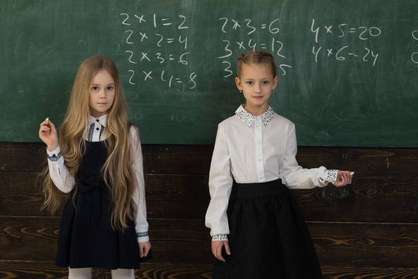 solve problem. two schoolgirls solve problem at school. solve problem at school lesson. helping each other to solve problem. - Foto, Imagem