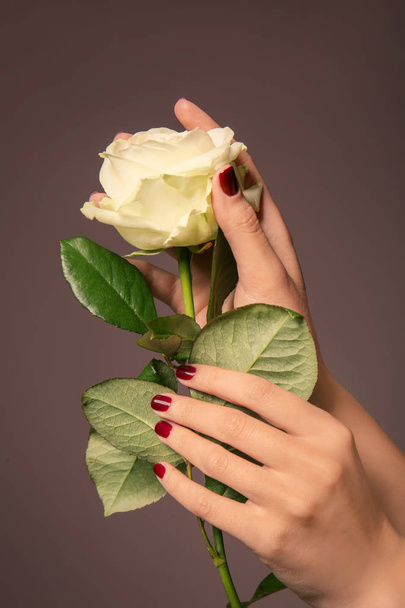 Hands of young woman with beautiful manicure holding rose on color background - Valokuva, kuva