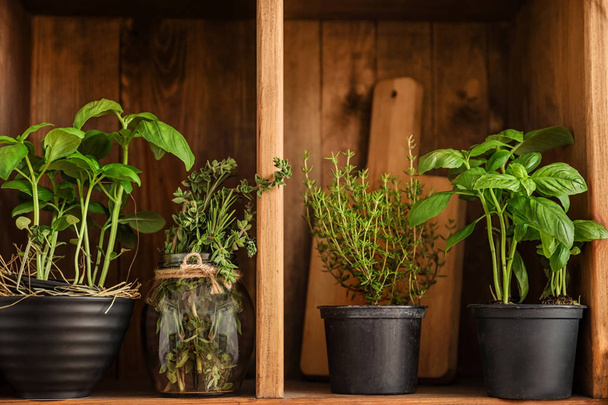 Pots with different herbs on wooden shelf - Photo, Image