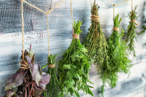 Bunches of fresh herbs hanging near wooden wall - Φωτογραφία, εικόνα