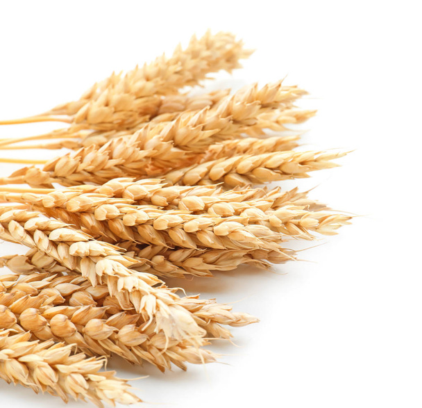 Punte di grano su sfondo bianco - Foto, immagini
