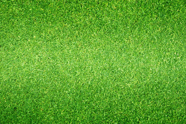 Naturalne podłoże trawa zielona trawa małe boisko piłkarskie - Zdjęcie, obraz