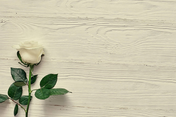 Beautiful white flower on light wooden background. - Фото, зображення
