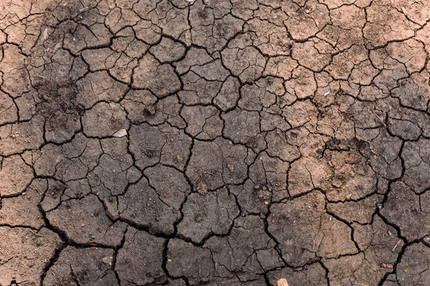 ρωγμές στη γη είναι οι συνέπειες της μια μεγάλη ξηρασία - Φωτογραφία, εικόνα