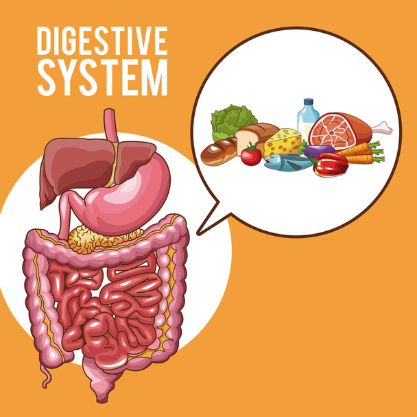 Digestive system poster - Vector, Image