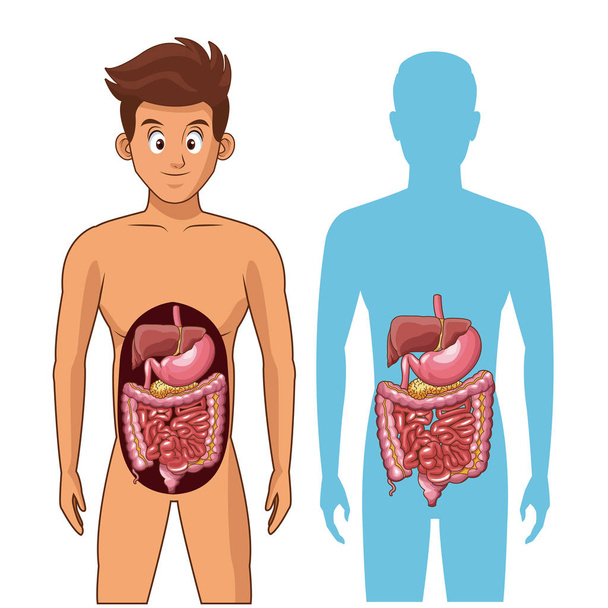 Мультфильм о пищеварительной системе
 - Вектор,изображение