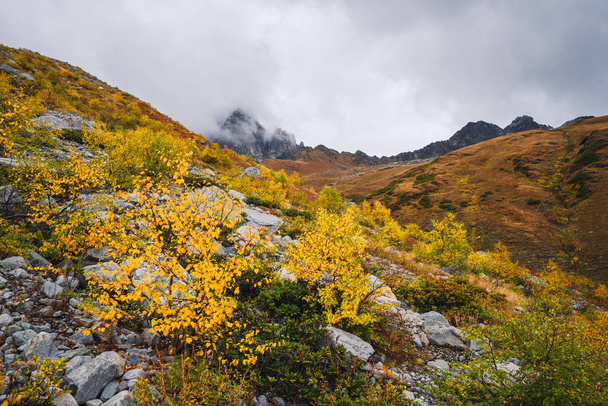 Herfst landschap in de bergen. Prachtige bomen en struiken op de heuvel. Kaukasus, Georgië, Zemo Svaneti - Foto, afbeelding