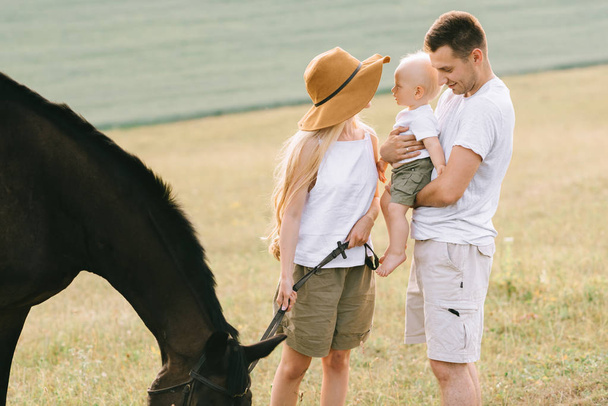 young family have a fun in the field. Parents and child with a horse in the field  - Fotografie, Obrázek