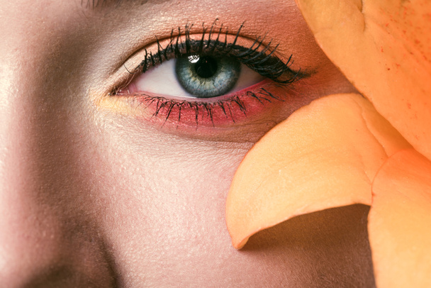 partial view of beautiful young woman with colorful eyeshadows and orange lily flower  - Photo, Image