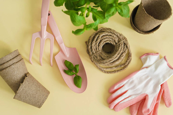 composition of gardening tools and basil pots  on yellow  background - Photo, Image