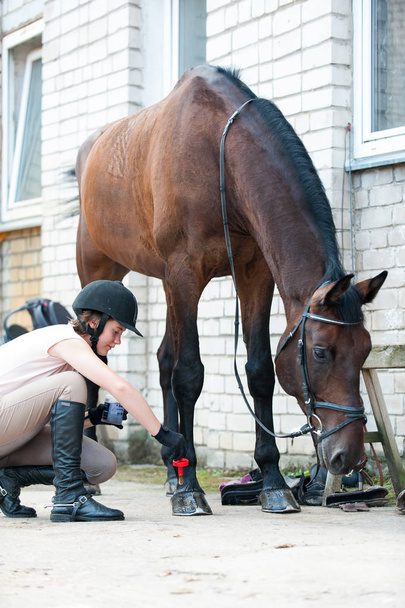 Peluquero cuidando la pezuña de caballo de castaño. Exterior multicolor Imagen vertical
. - Foto, imagen