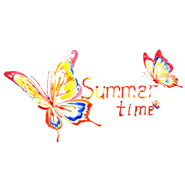 butterfly watercolor on a white. Summer time - Foto, imagen