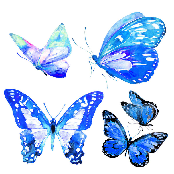 beautiful butterflies, set, watercolor, isolated on a white - Fotó, kép
