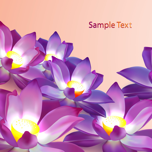 Vector floral background with violet lotuses and place fro text - Vector, Image