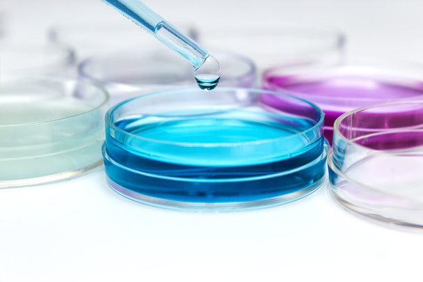 Pipette with drop of color liquid and petri dishes - Photo, Image