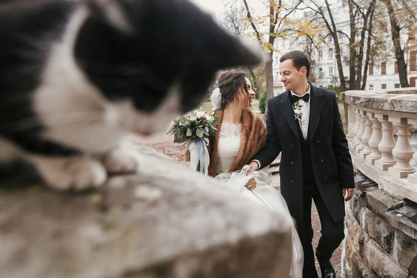 noiva linda e noivo elegante andando perto bonito gato preto e branco na rua da cidade europeia no outono. casamento feliz casal carícia gatinho e sorrindo. feliz momento familiar
 - Foto, Imagem