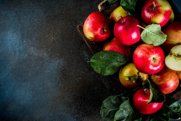Raw fresh apples on dark blue background, copy space - Foto, afbeelding